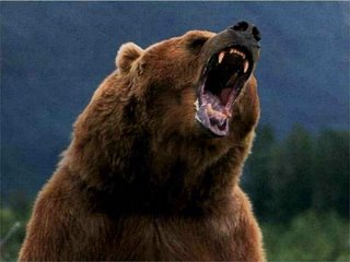 angry20bear.jpg