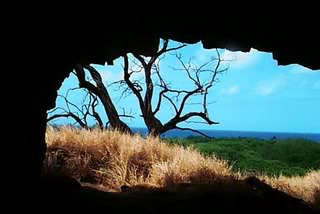 cave.jpg