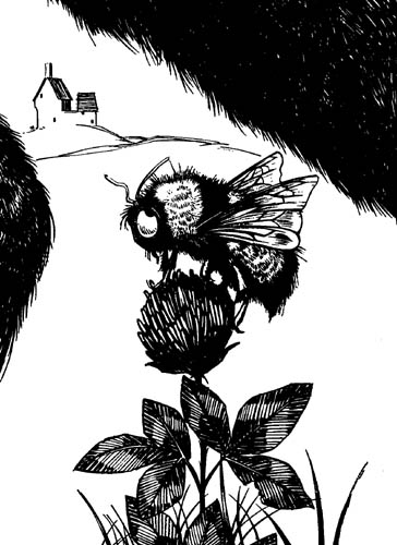 ferdinand_bee.jpg
