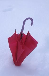 umbrella-snow.jpg