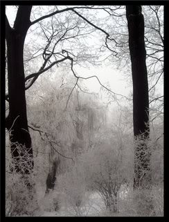 Snowy_day_II__by_nihilistka.jpg