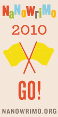 nanowrimo_07_120x240