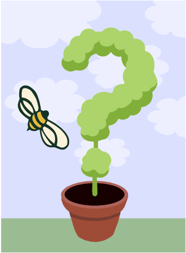 questions3