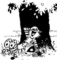 calvinhobbes