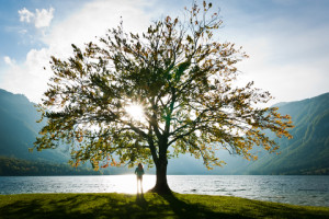 https://www.dreamstime.com/-image16221614