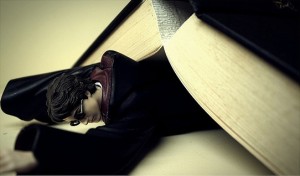 photo by jin.thai
