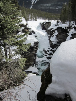 Jasper spring 2011