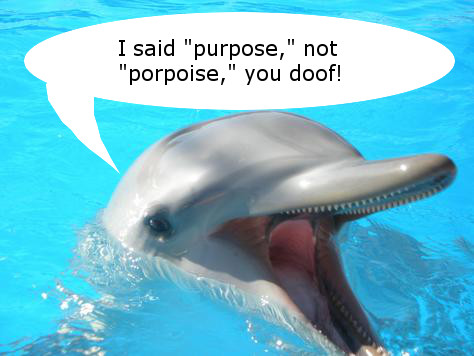 purpose porpoise2