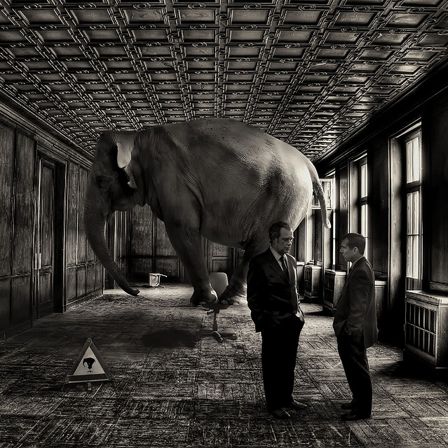 Flickr Creative Commons: David Blackwell