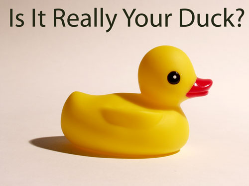 Is It Really Your Duck?