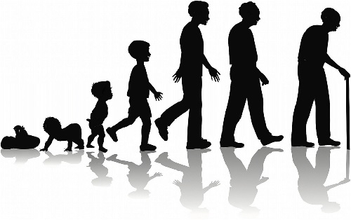 Life cycle