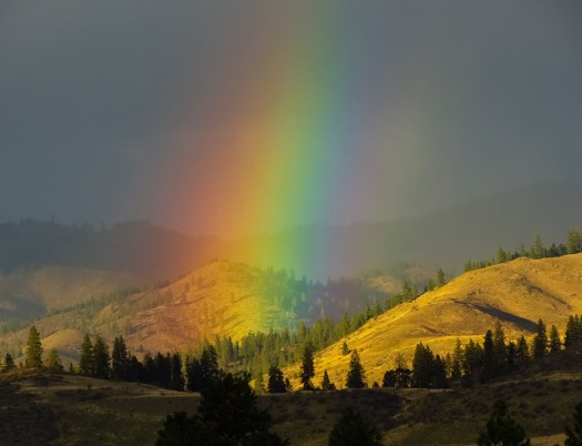 Photo by Flickr user Rocky Raybell