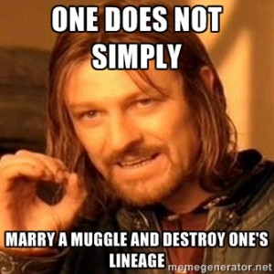 Marry a Muggle