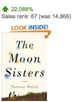 Amazon.com Movers Shakers The biggest gainers in Kindle Store sales rank over the past 24 hours