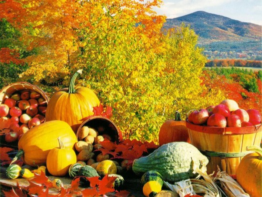 FallHarvest
