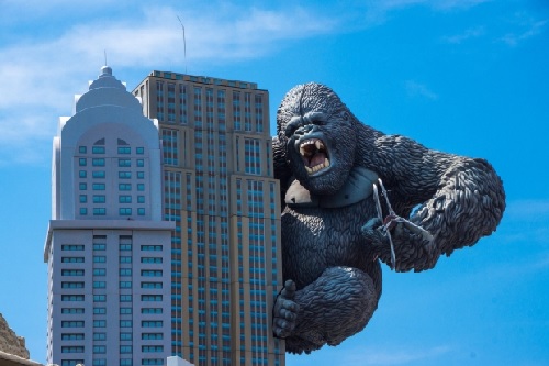 Gorilla from Morguefile