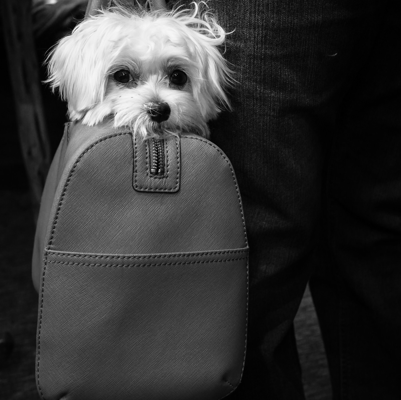photo by Eduardo Merille via Flickr
