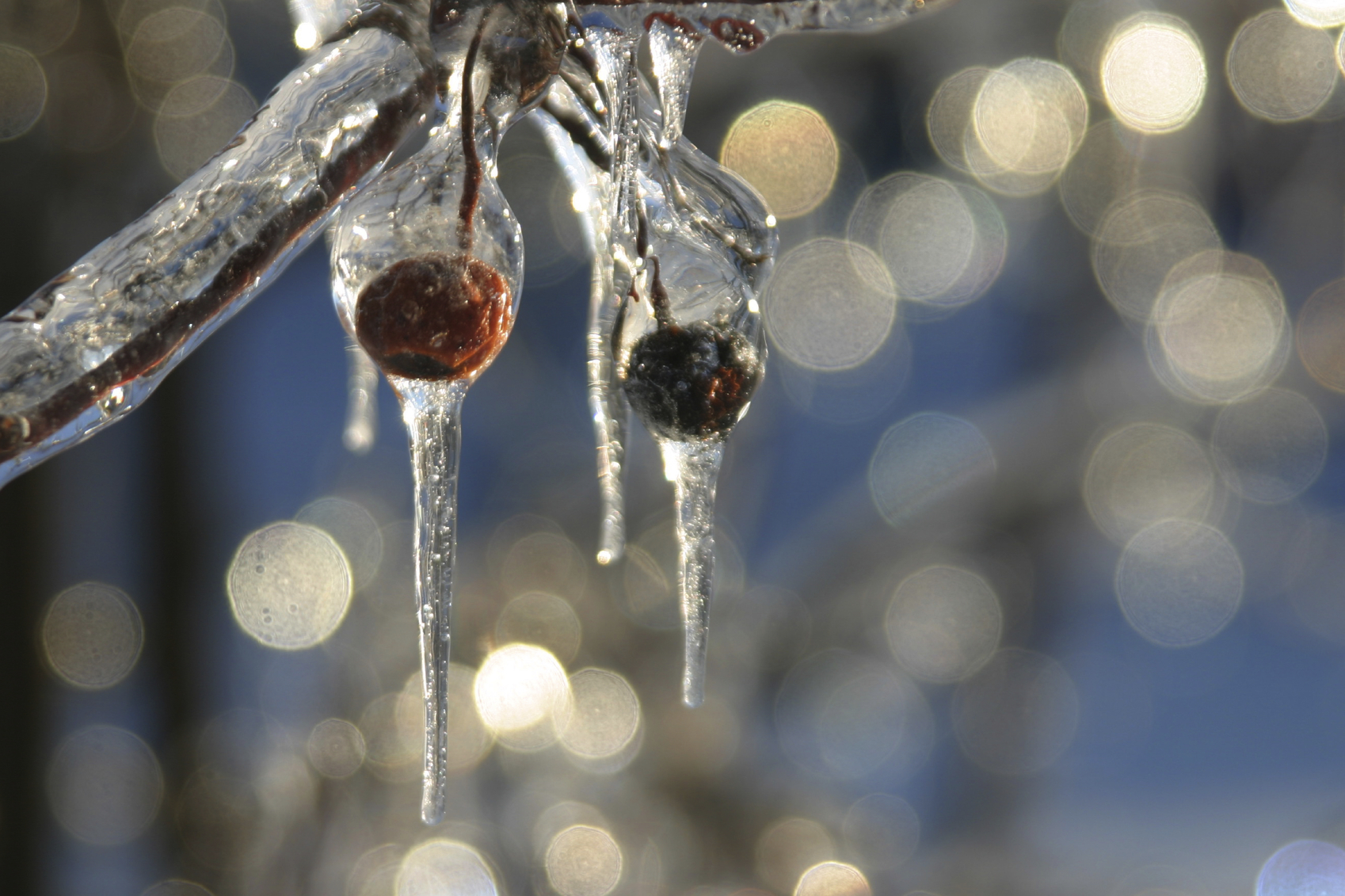 Image - iStockphot: StyxClick