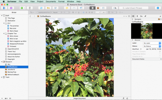 Viewing an image on a Mac
