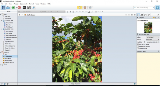 viewing an image on a PC