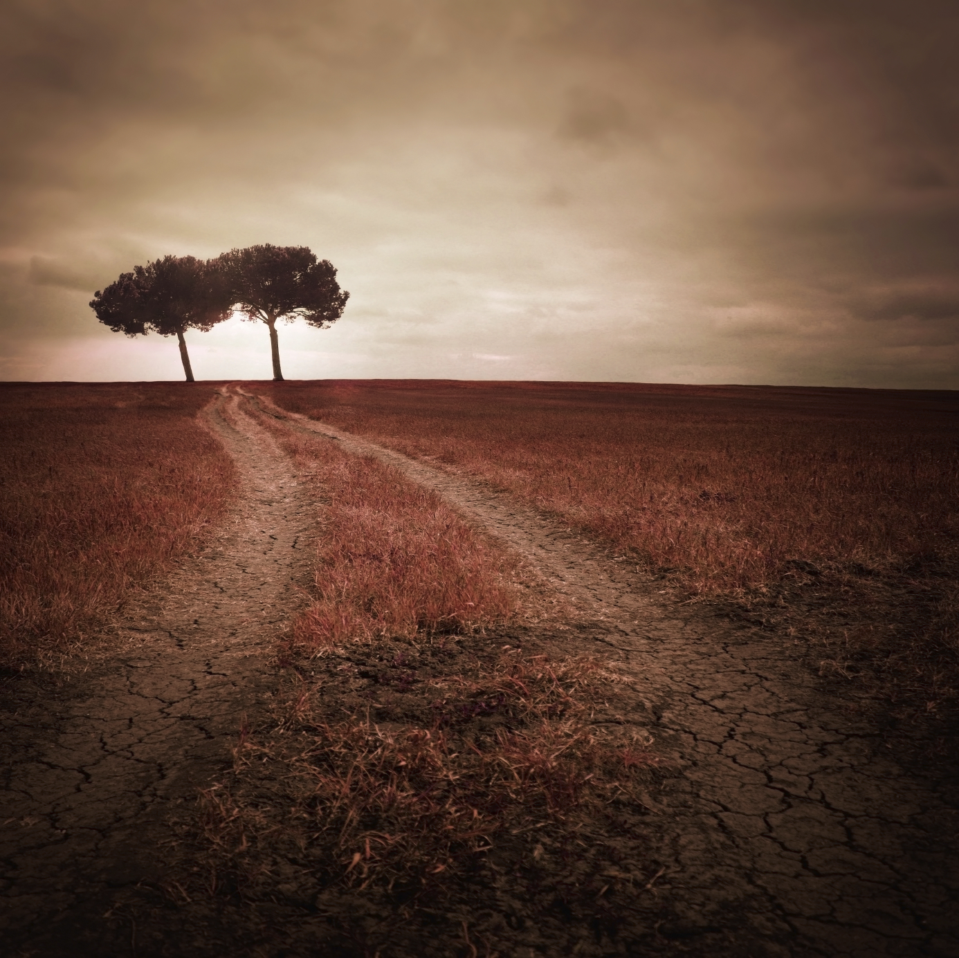Image - iStockphoto: Toth Gabor Gyula