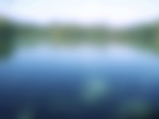 Image - iStockphoto: camelt