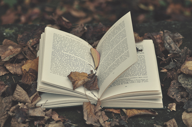 Flickr Creative Commons: Lorenzo Scheda