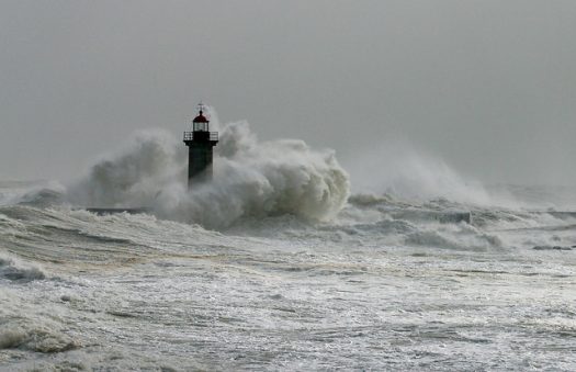 Photo by Victor