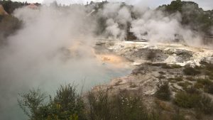 WP_20160822_10_36_13_Pro