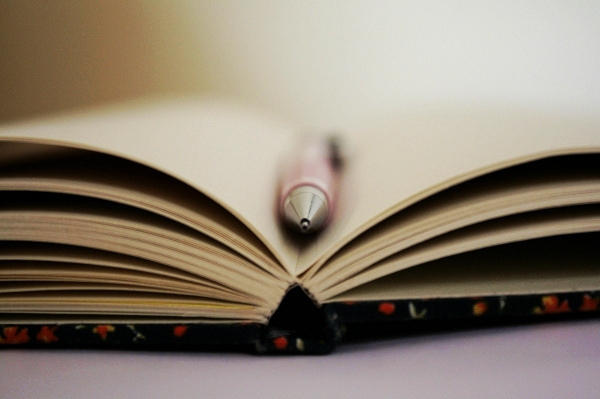 Flickr Creative Commons: Bianca Moraes