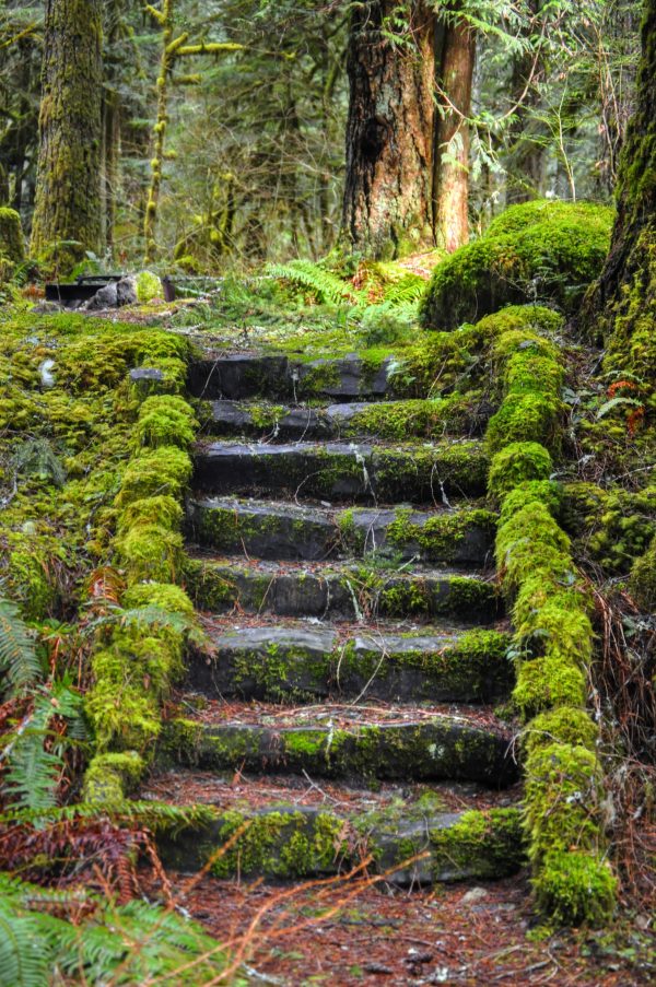 mossy-stairs