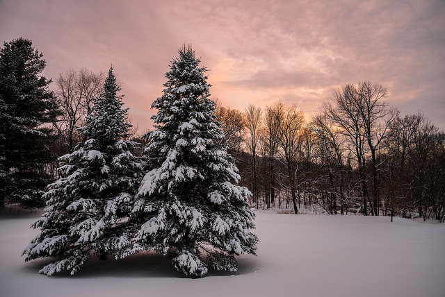 Photo By Nicholas Erwin