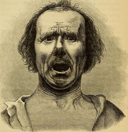 The_expression_of_the_emotions_in_man_and_animals_(1872)_(14781997191)