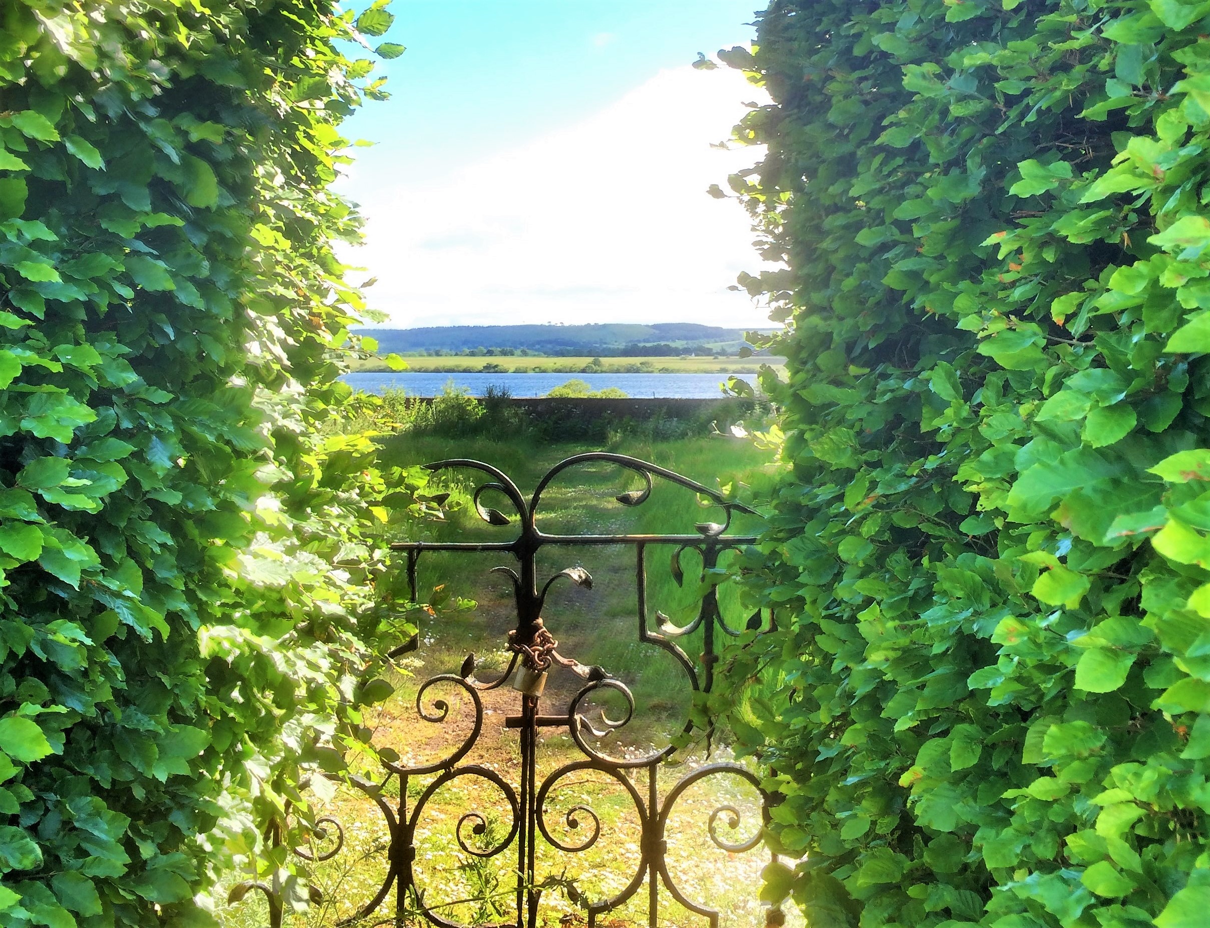 Hedgerow Gate, Kinross, Scotland (Photo by VR) 