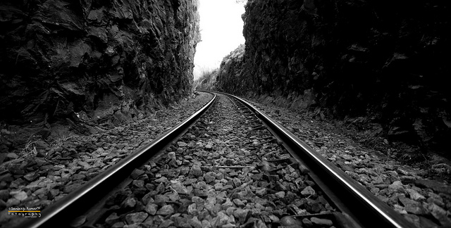 tracks