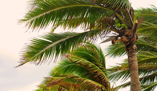 500 iStock-496976194 behindlens ftw