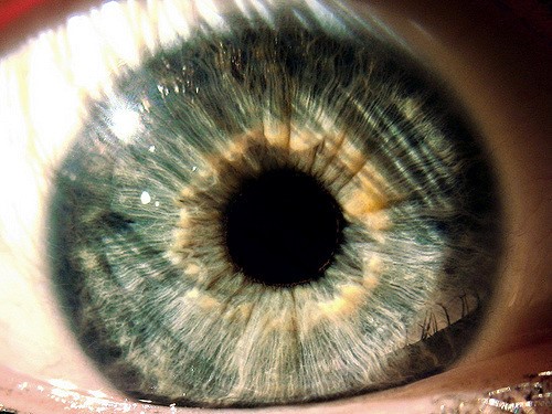 vanessa cornacchia
"the Big Bang" -  creative commons