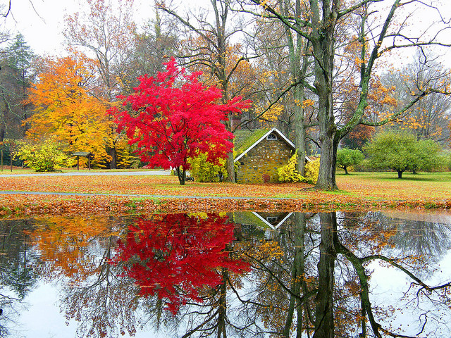 image by Stanley Zimny