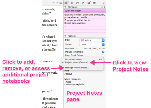 project notes pane annotated