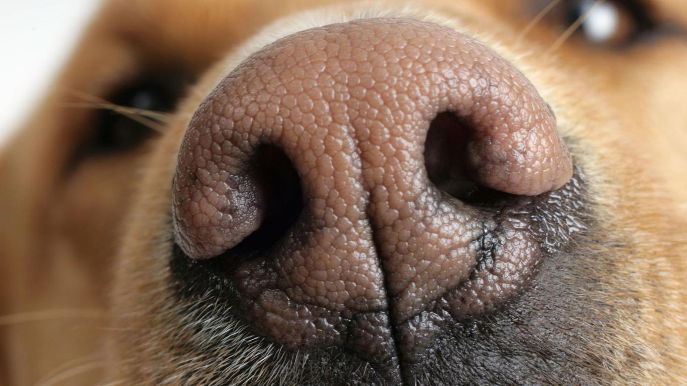 close-up-11