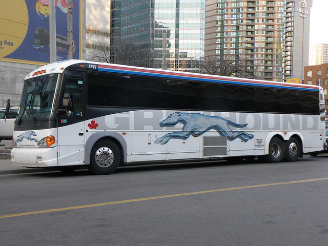 greyhound-bus