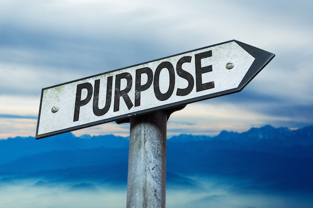 Purpose-1
