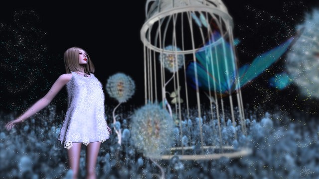 Photo Credit: Ryo 
'dance with butterflies'