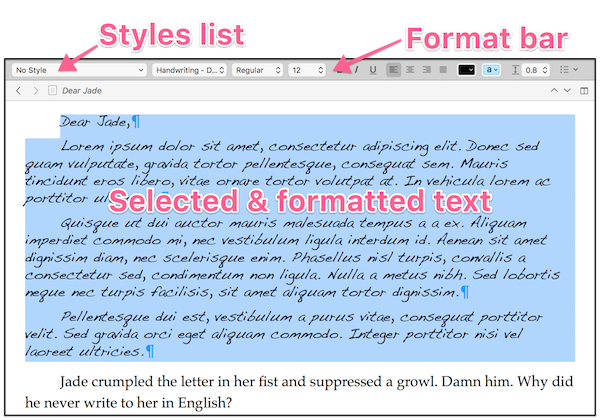 styled text with format bar and styles list annotated