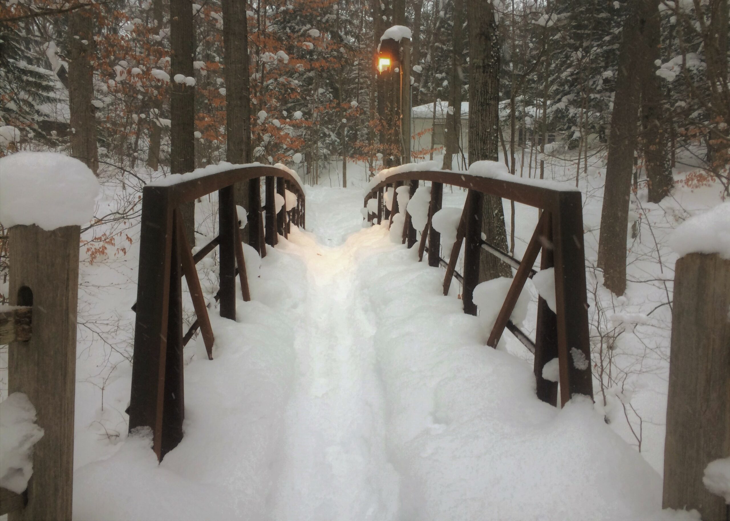 010418 Snow Stawm (2)