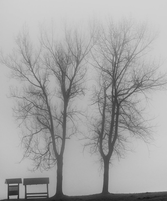 38613642534_5f31afbe96_z