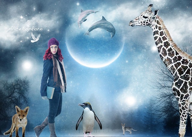 Photo Credit: Dreamland - Alice Popkorn
