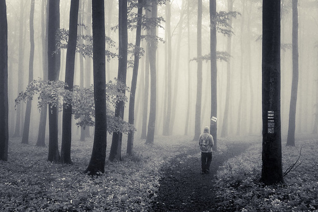 Photo by Bertalan Szürös