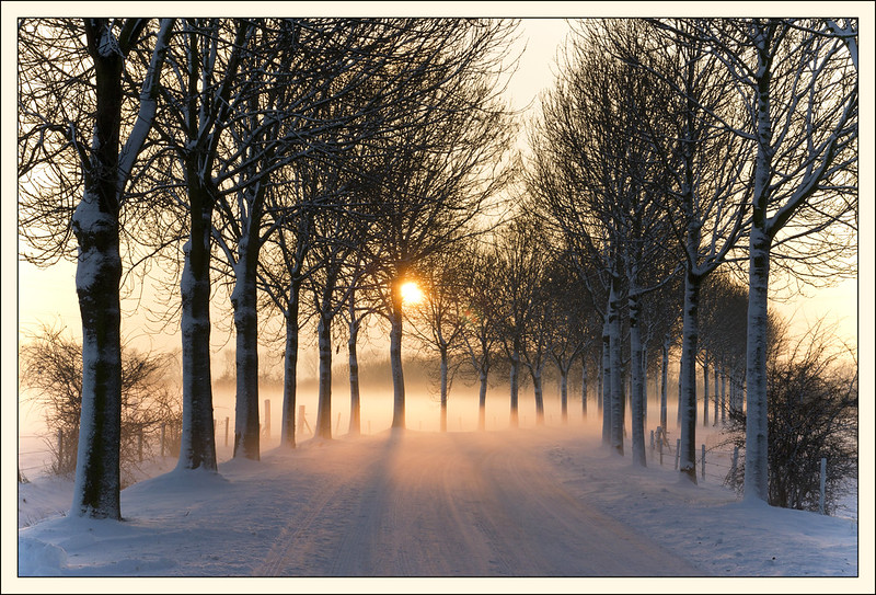 Snowy morning