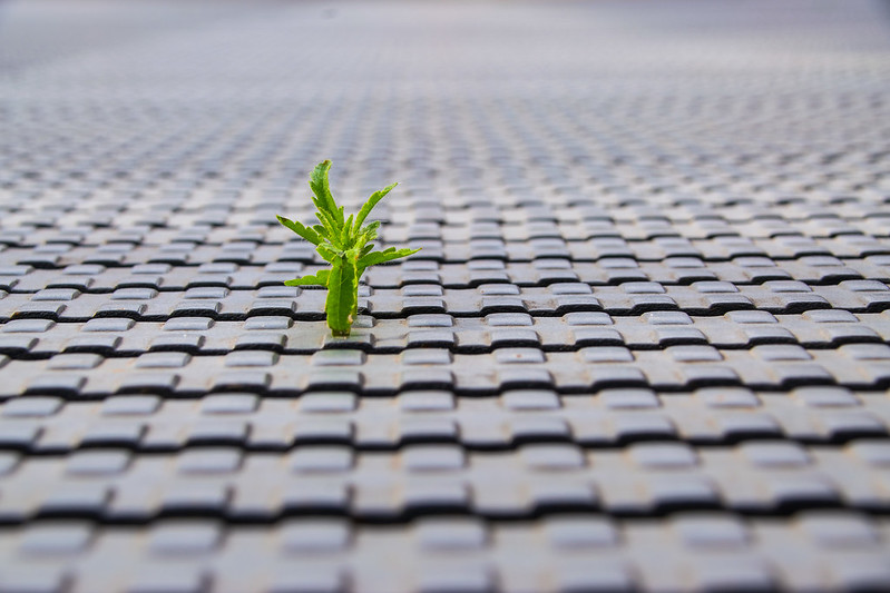 Flickr Creative Commons: Ralf Steinberger